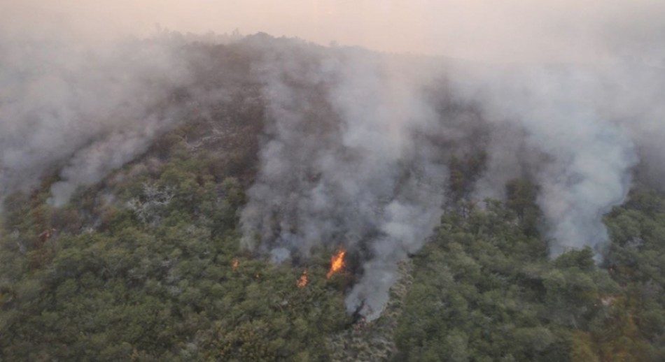 Declararon la emergencia y el desastre agropecuario en tres provincias