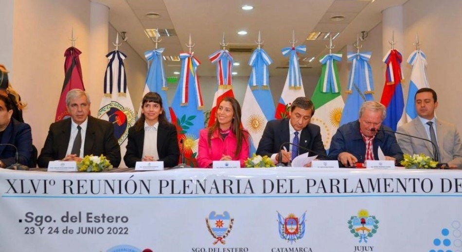 Subsidio del transporte, falta de gasoil y obras, entre los temas que unen al Norte Grande